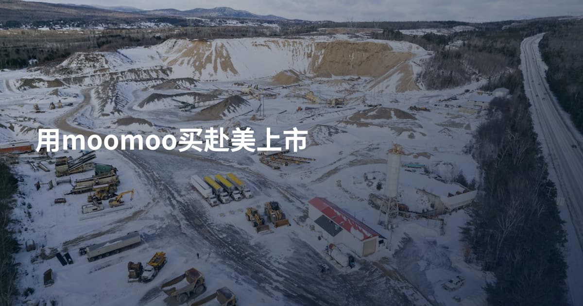 用moomoo买赴美上市