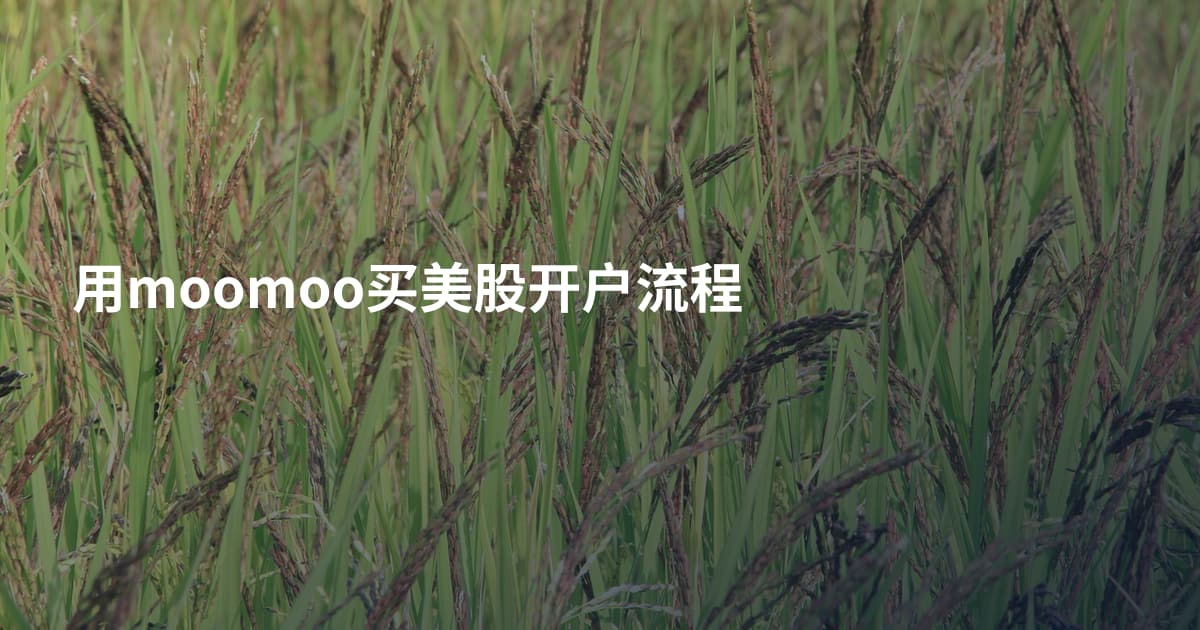 用moomoo买美股开户流程