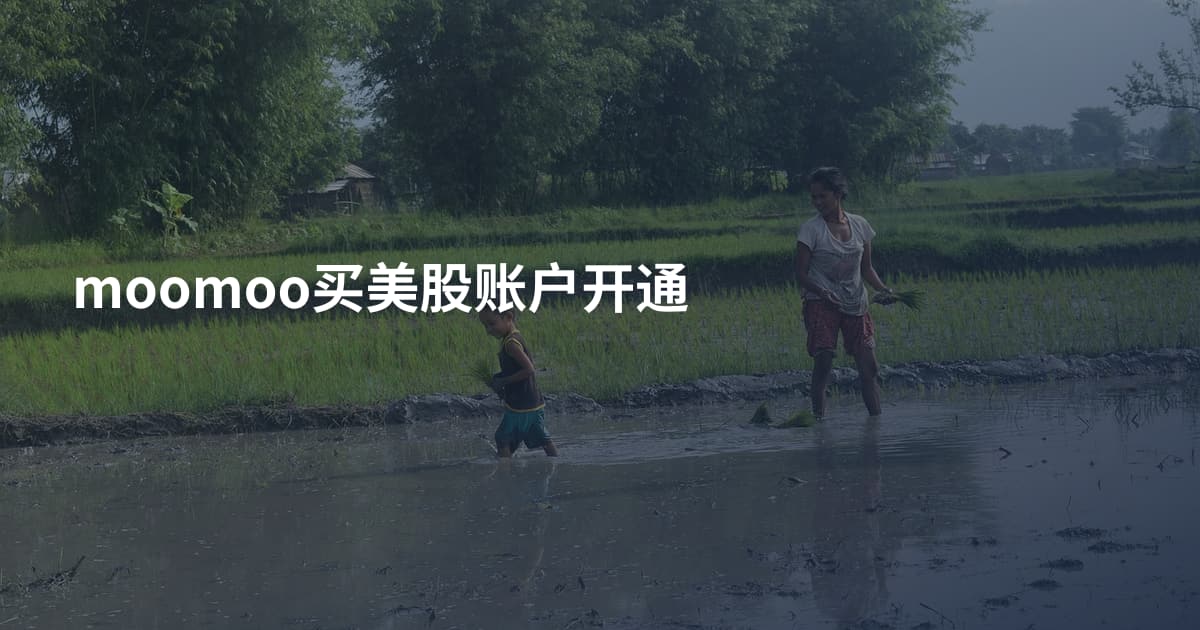 moomoo买美股账户开通