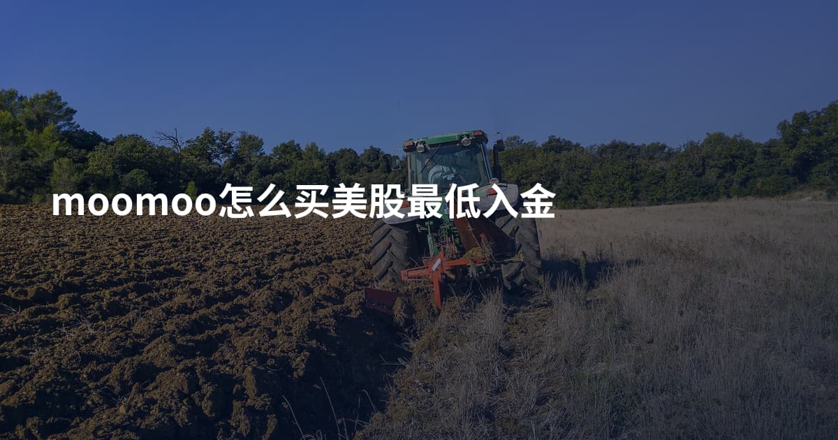 moomoo怎么买美股最低入金