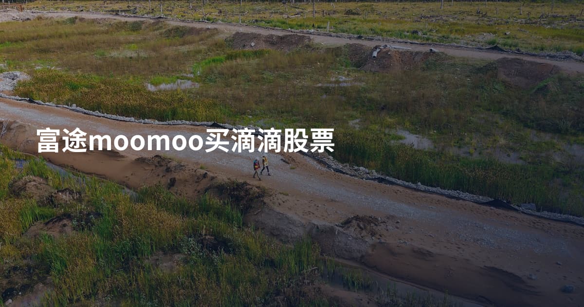 富途moomoo买滴滴股票