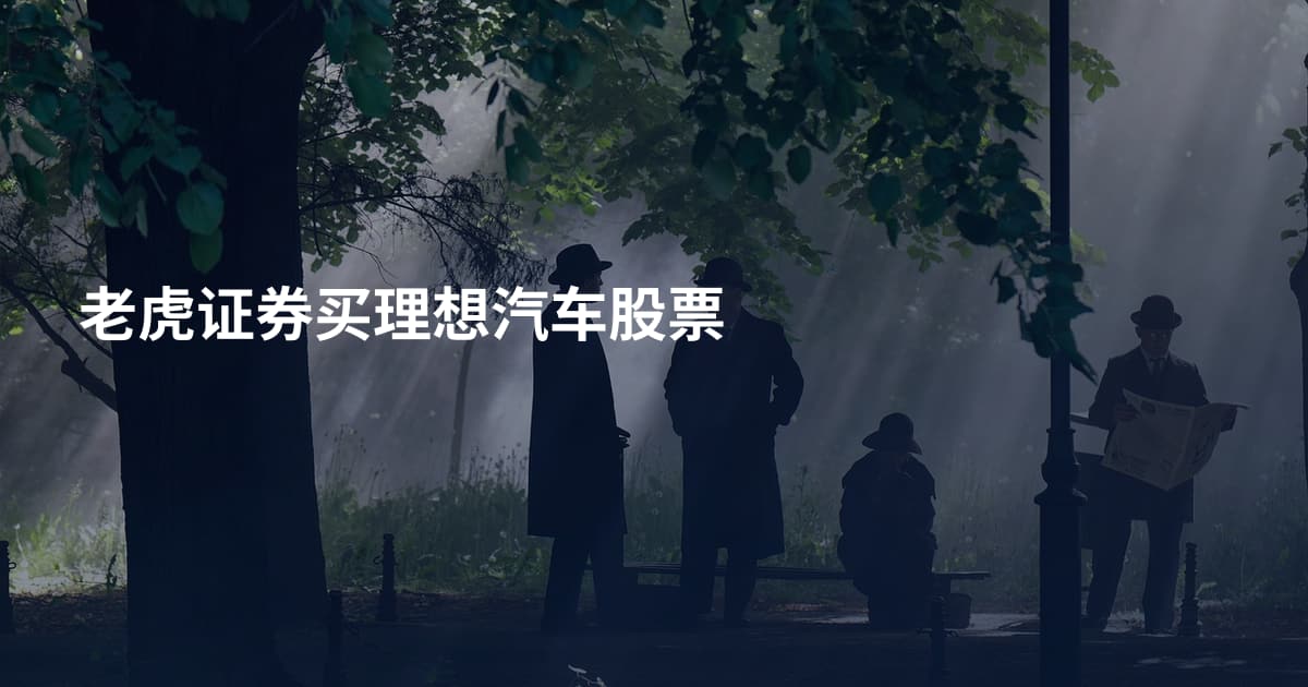 老虎证券买理想汽车股票