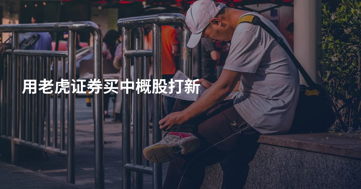 用老虎证券买中概股打新