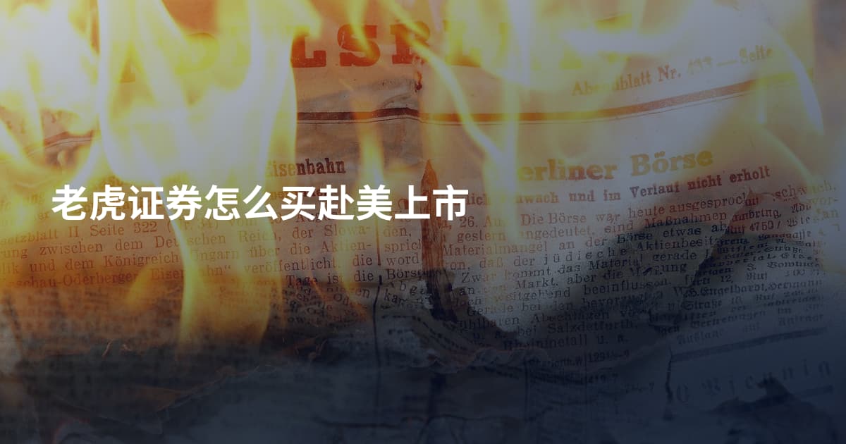 老虎证券怎么买赴美上市