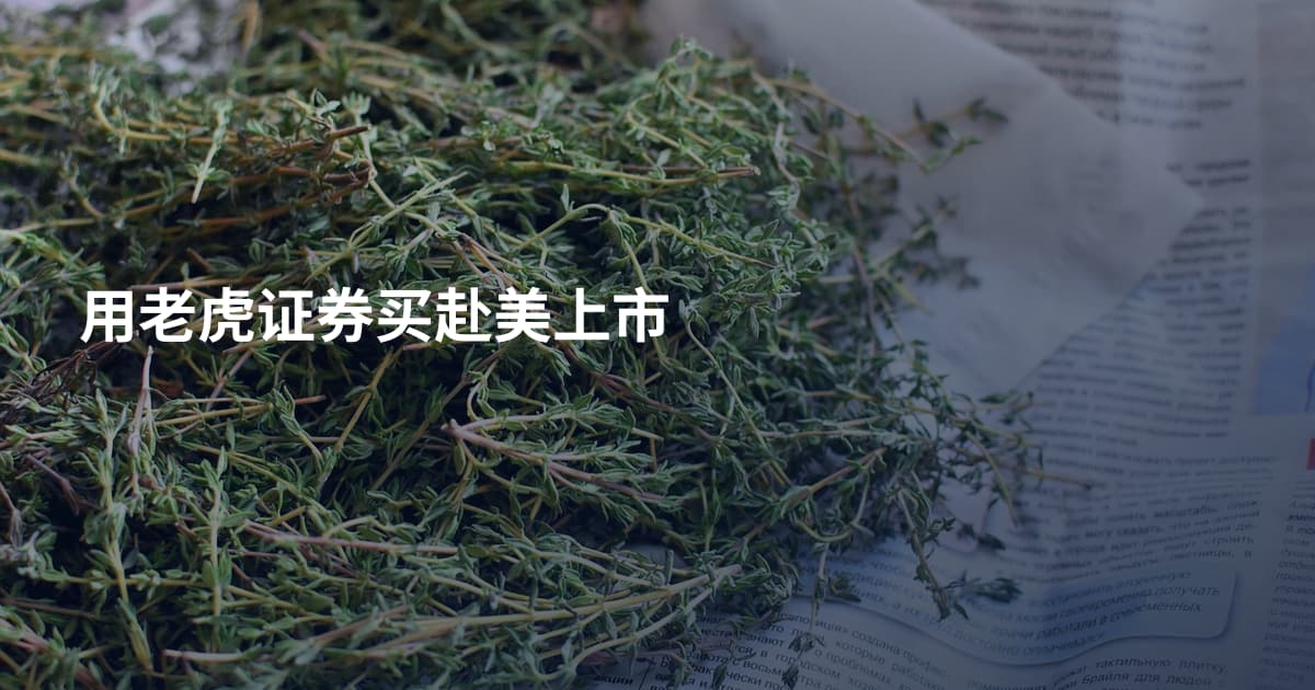 用老虎证券买赴美上市