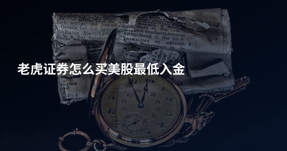 老虎证券怎么买美股最低入金