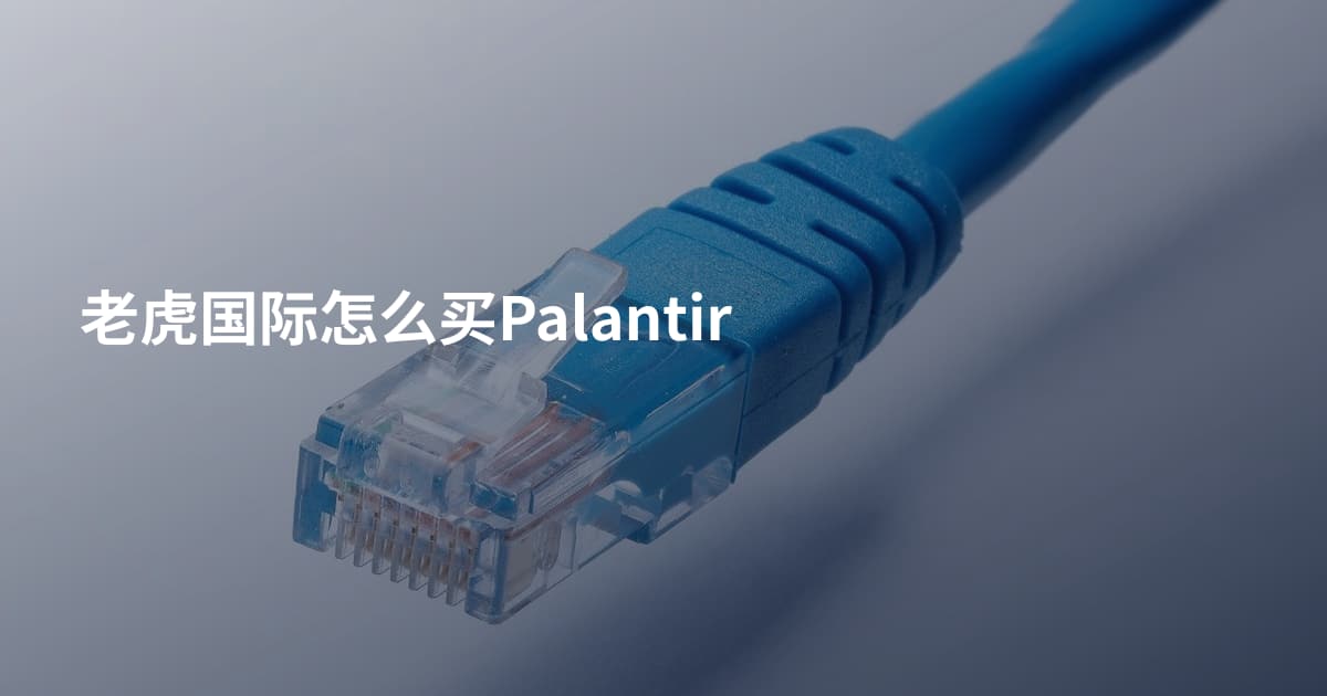 老虎国际怎么买Palantir