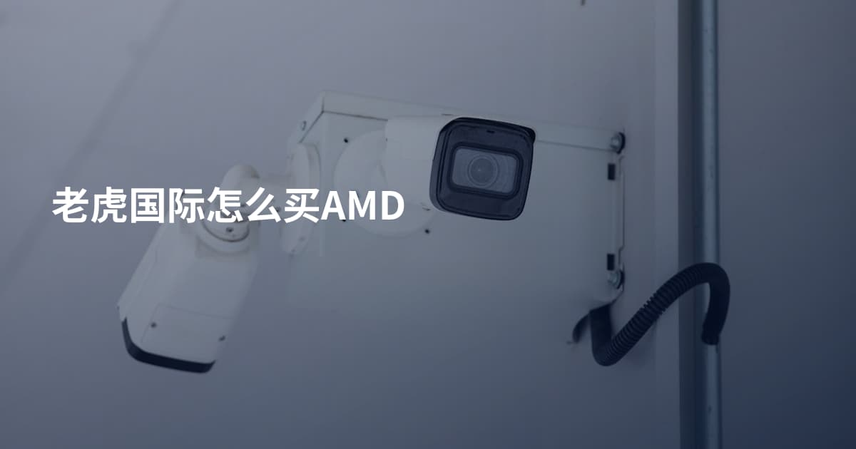 老虎国际怎么买AMD