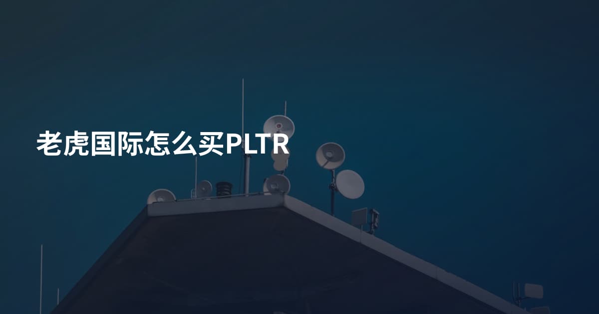 老虎国际怎么买PLTR