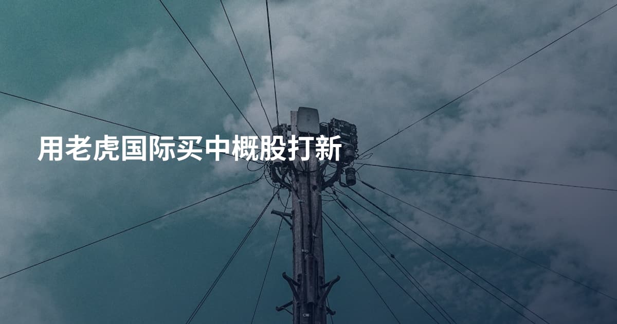 用老虎国际买中概股打新