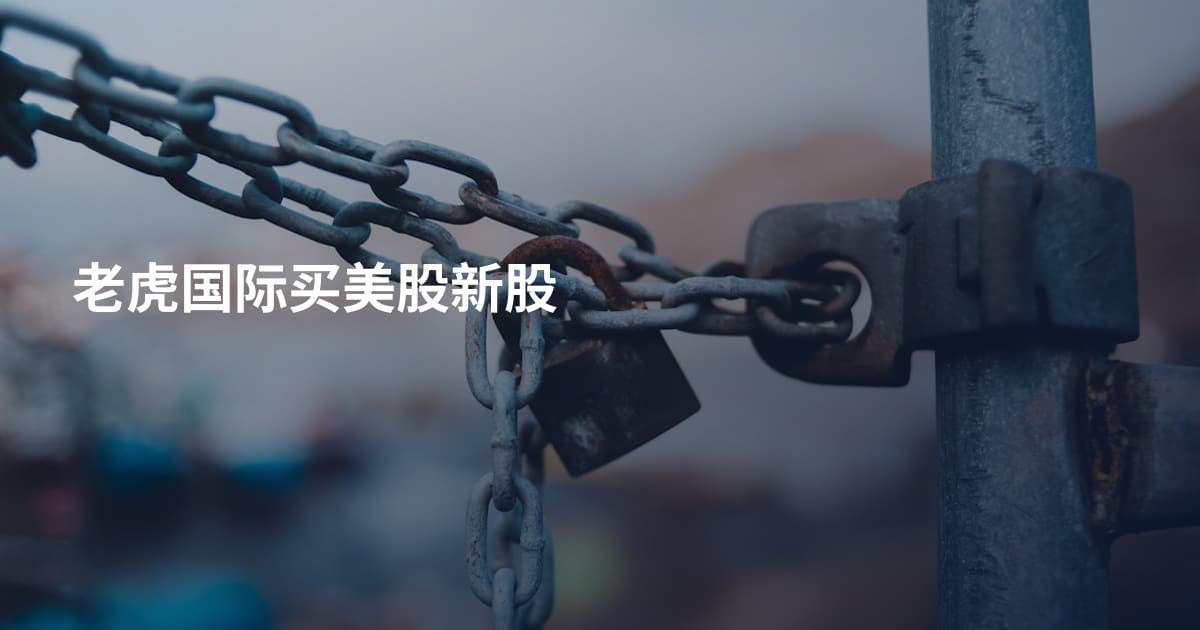 老虎国际买美股新股
