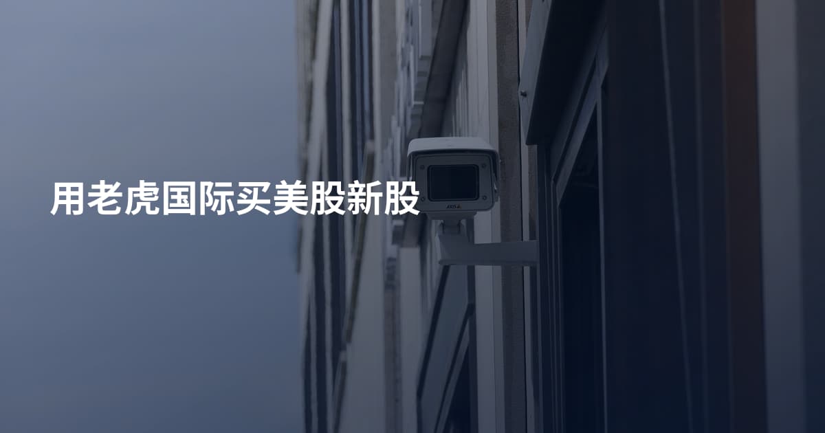 用老虎国际买美股新股