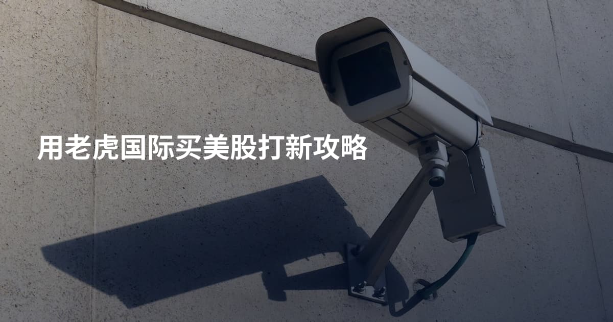 用老虎国际买美股打新攻略