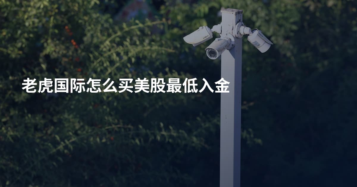 老虎国际怎么买美股最低入金