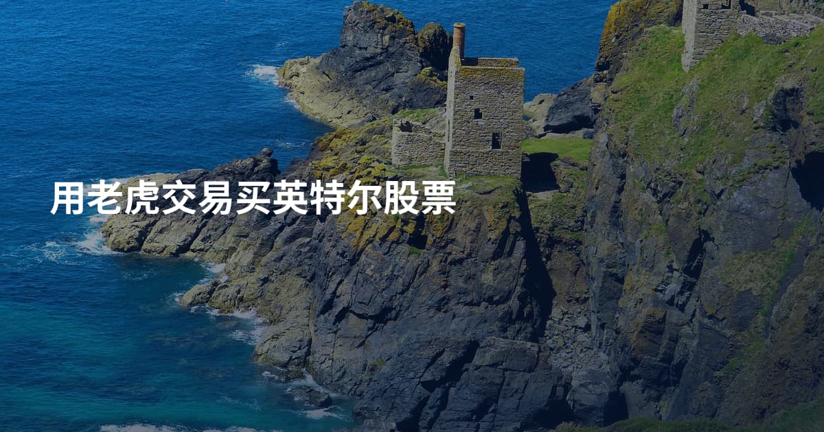 用老虎交易买英特尔股票