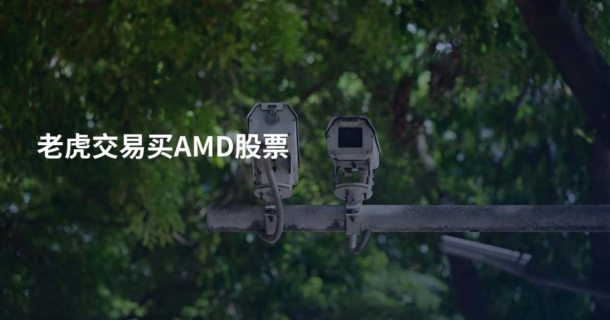 老虎交易买AMD股票