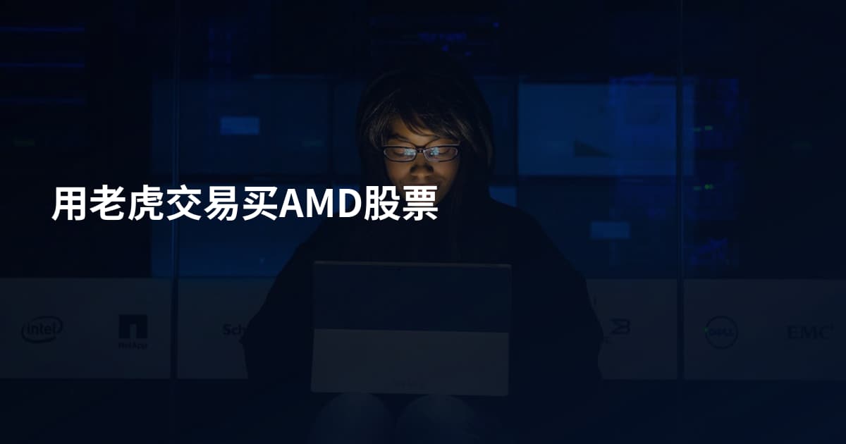 用老虎交易买AMD股票