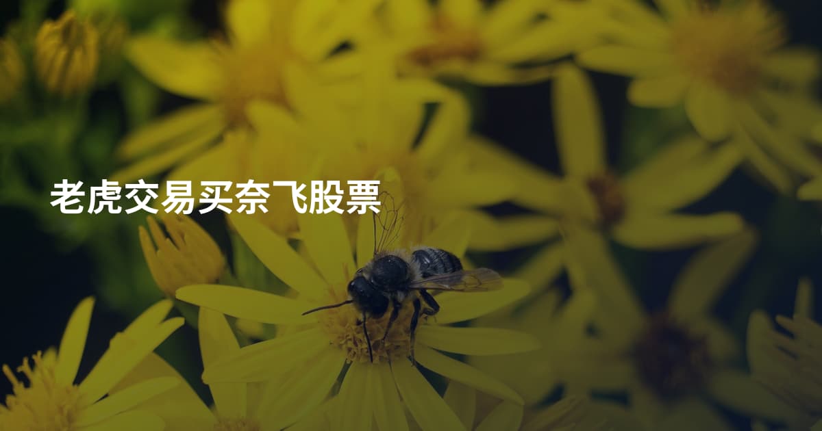 老虎交易买奈飞股票
