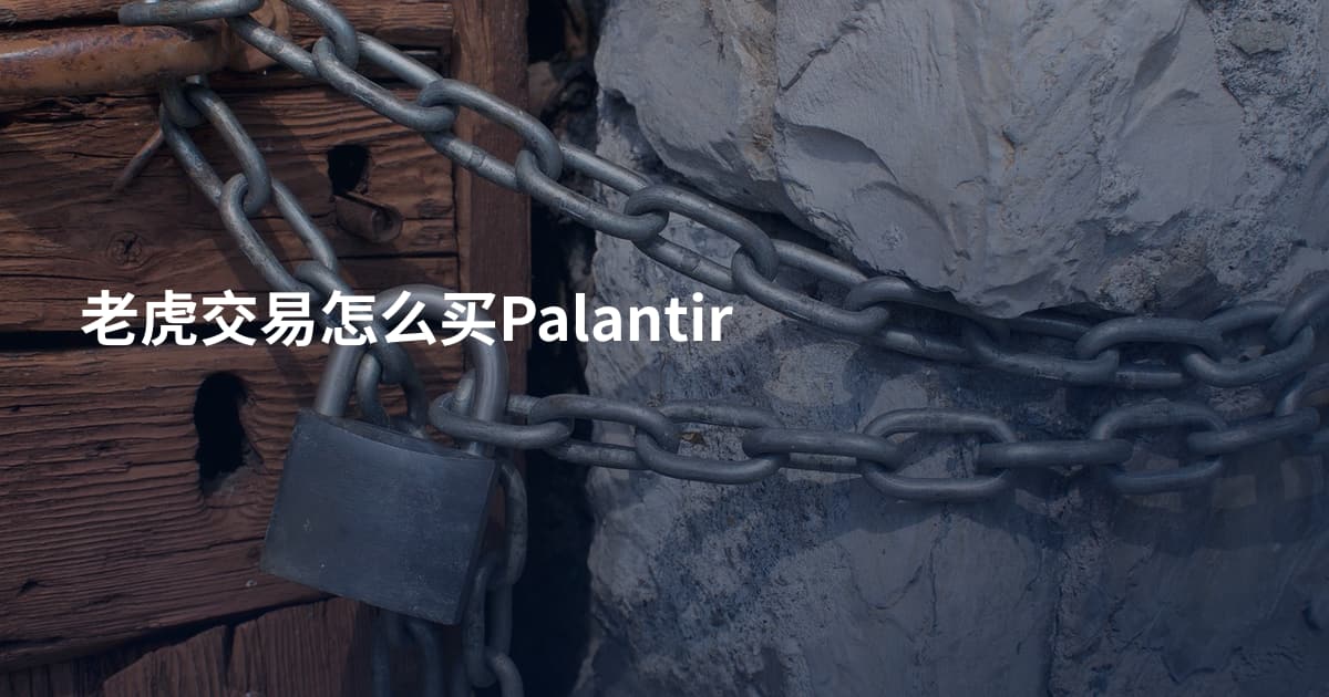 老虎交易怎么买Palantir
