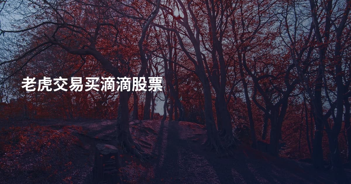 老虎交易买滴滴股票