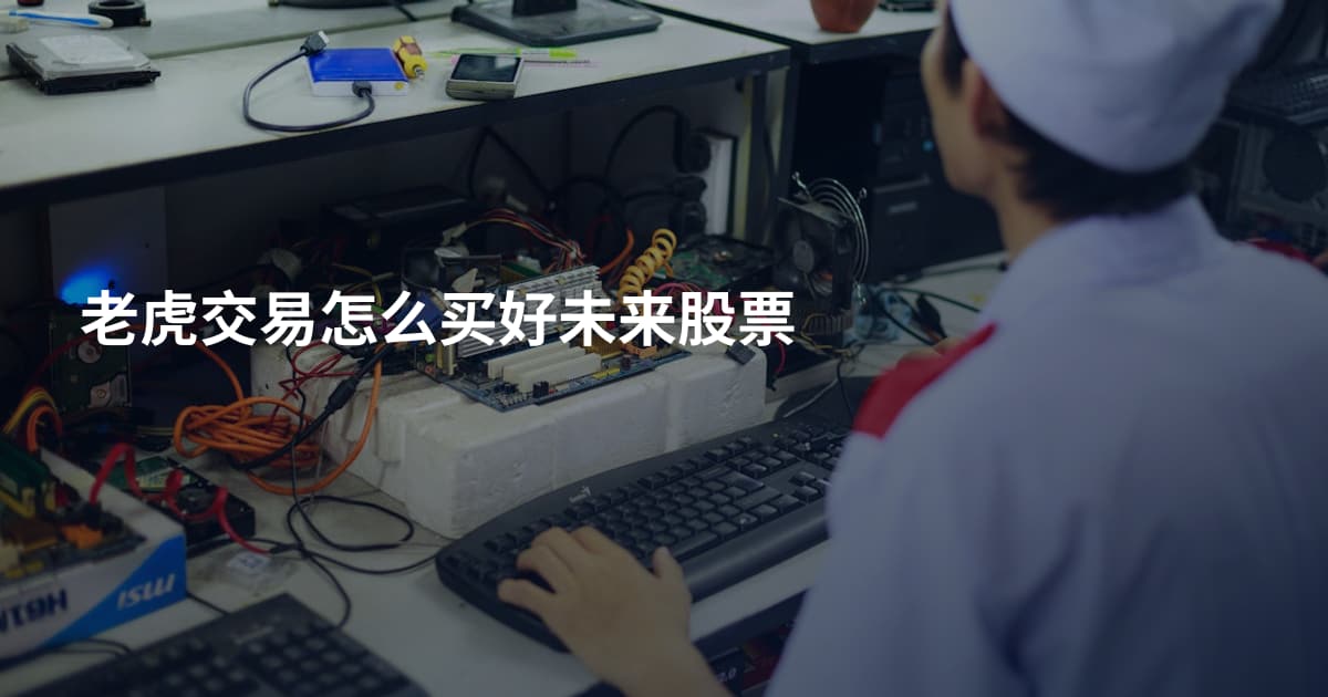 老虎交易怎么买好未来股票