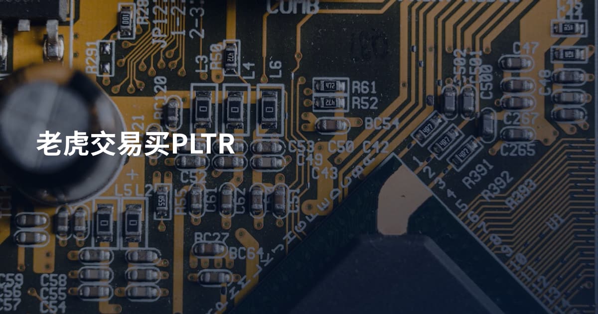 老虎交易买PLTR