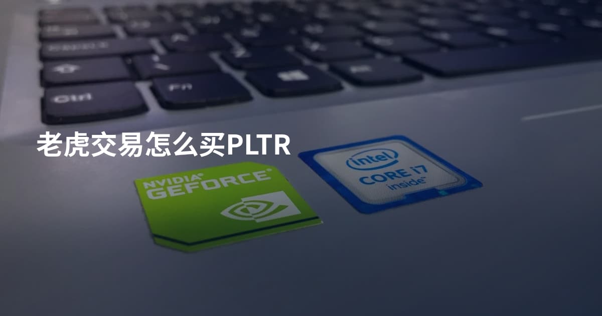 老虎交易怎么买PLTR
