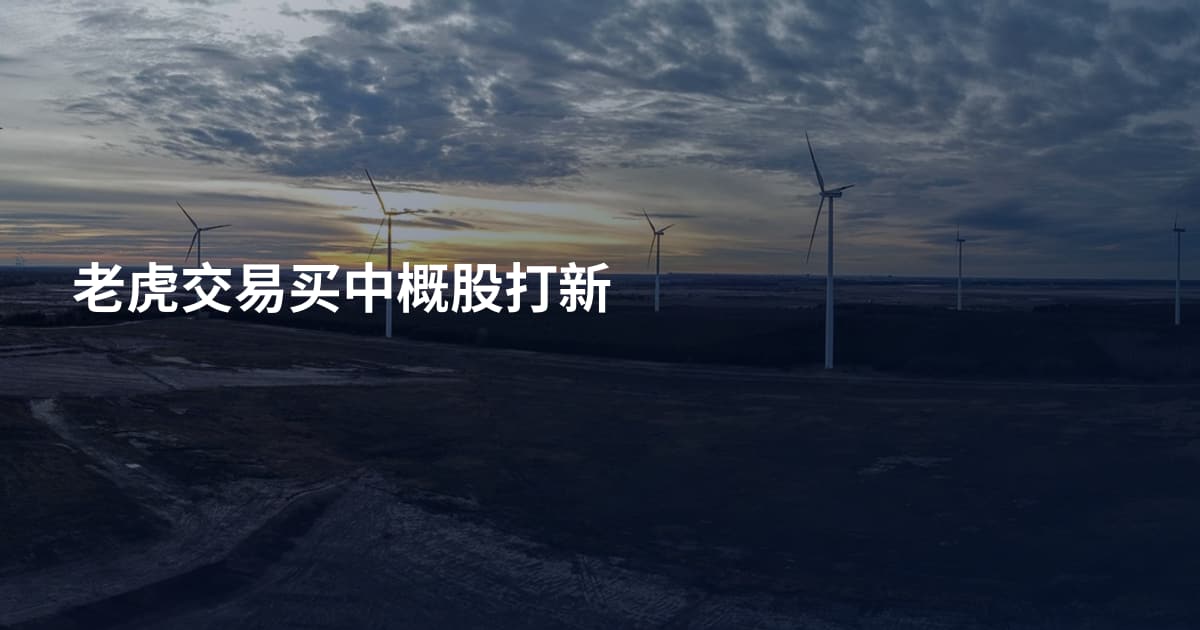 老虎交易买中概股打新