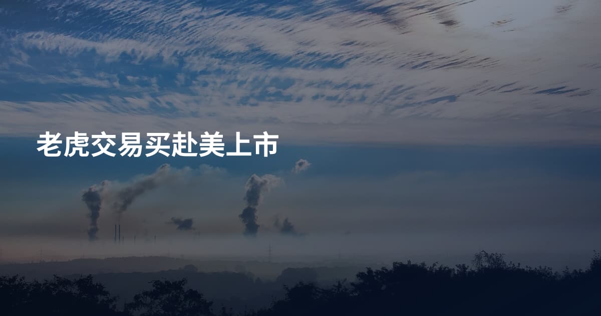 老虎交易买赴美上市