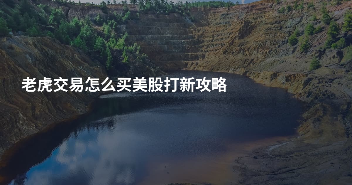 老虎交易怎么买美股打新攻略