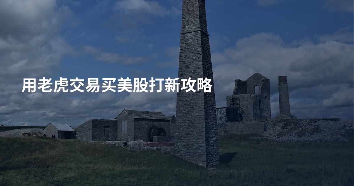用老虎交易买美股打新攻略