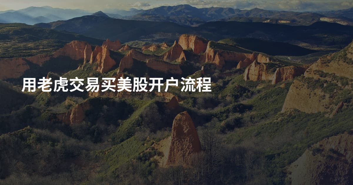用老虎交易买美股开户流程