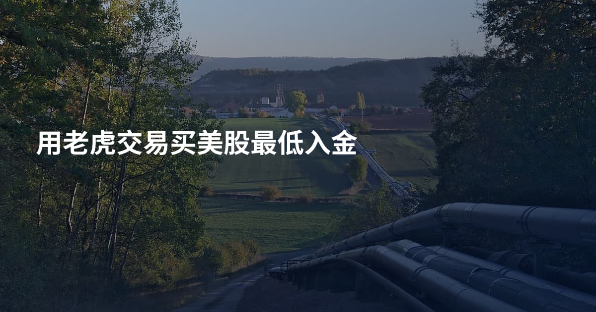 用老虎交易买美股最低入金