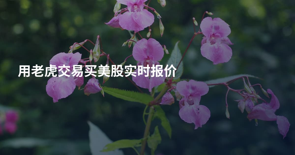 用老虎交易买美股实时报价