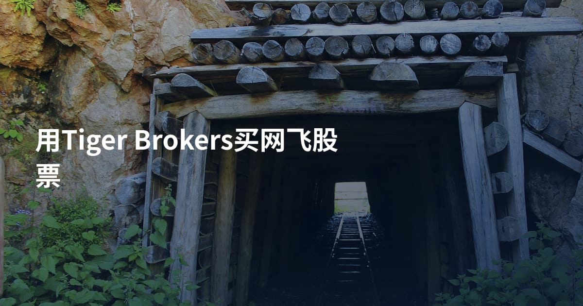 用Tiger Brokers买网飞股票