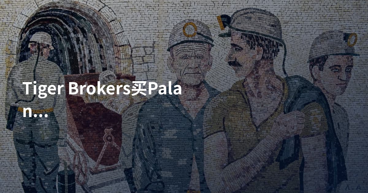 Tiger Brokers买Palantir