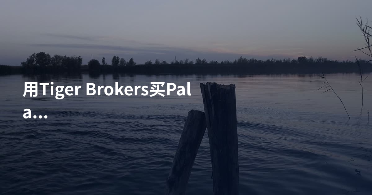 用Tiger Brokers买Palantir
