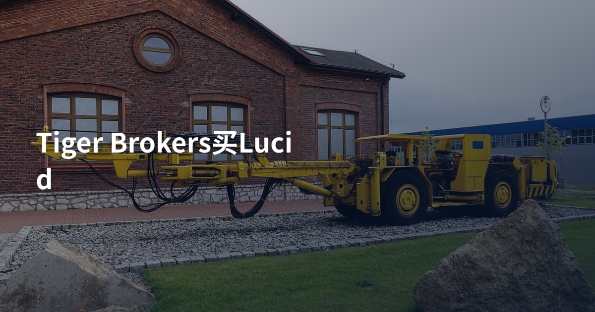 Tiger Brokers买Lucid