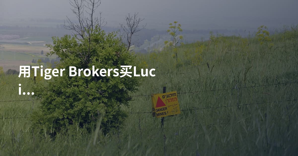 用Tiger Brokers买Lucid