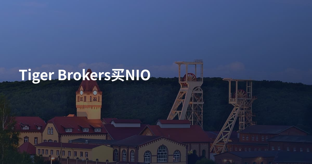 Tiger Brokers买NIO
