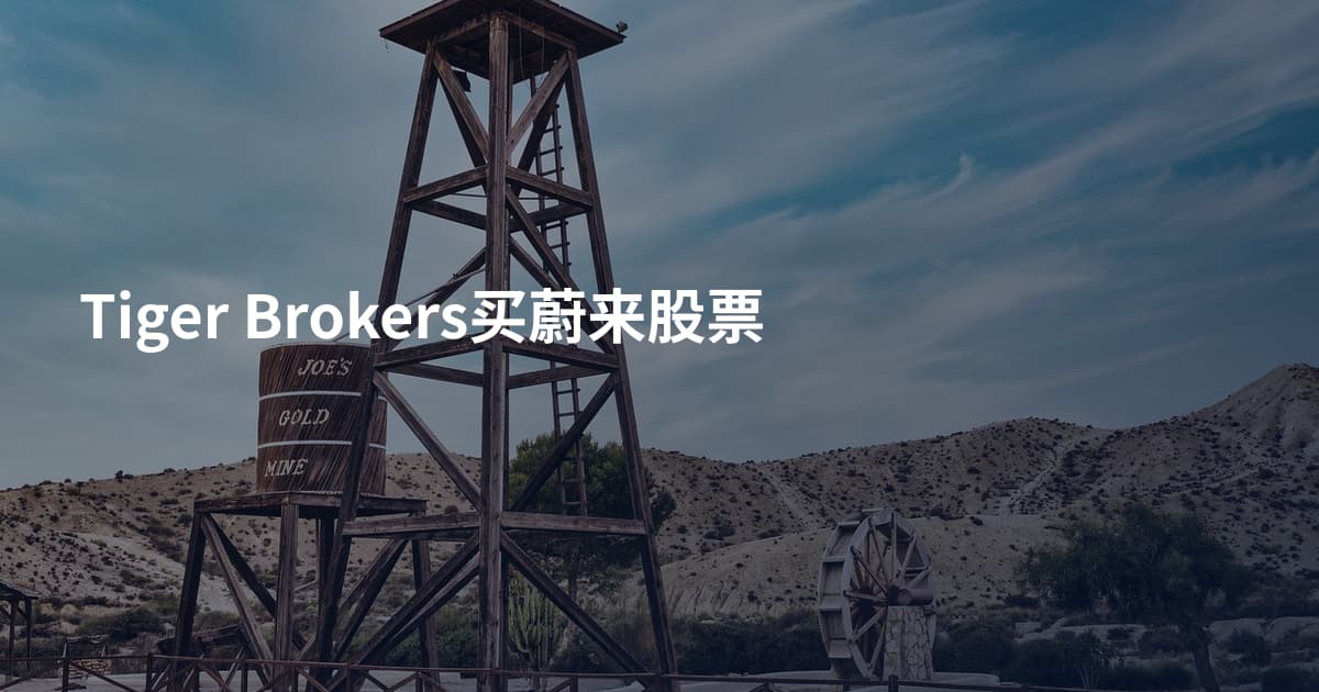 Tiger Brokers买蔚来股票