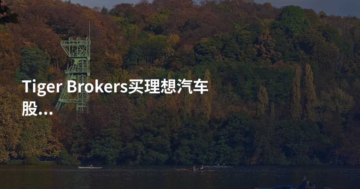 Tiger Brokers买理想汽车股票