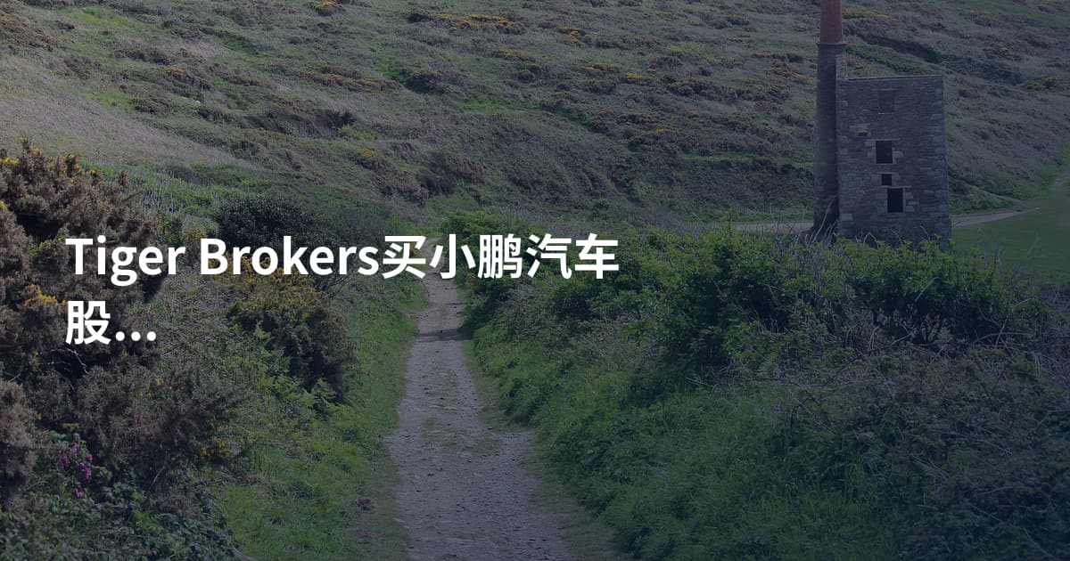Tiger Brokers买小鹏汽车股票