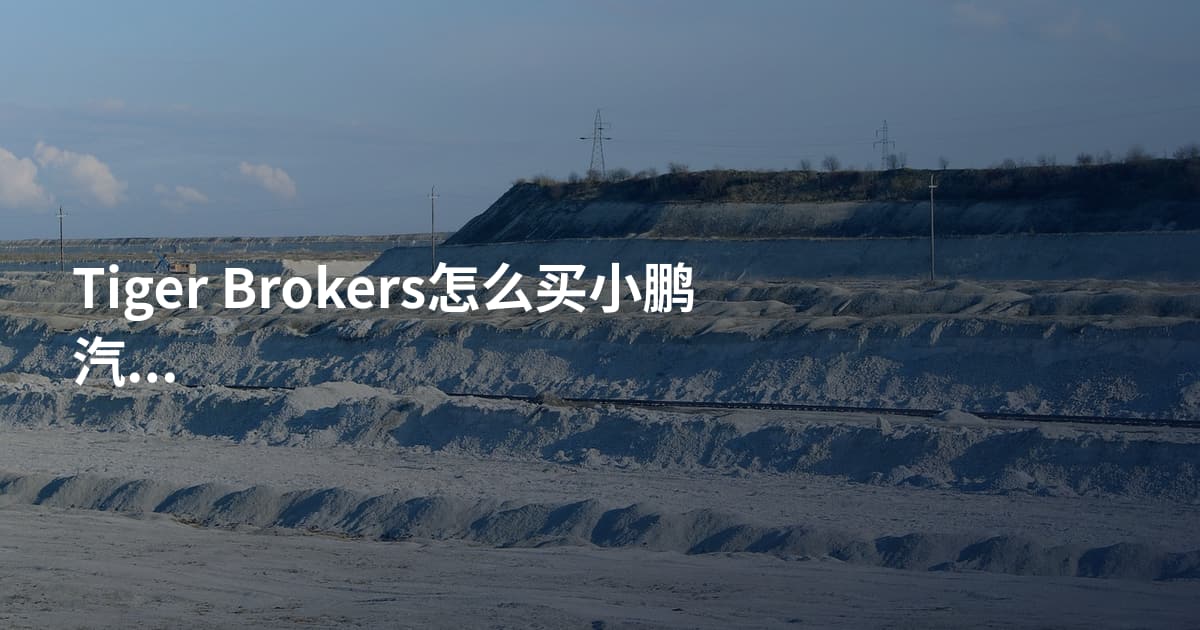 Tiger Brokers怎么买小鹏汽车股票