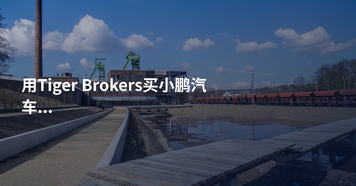 用Tiger Brokers买小鹏汽车股票