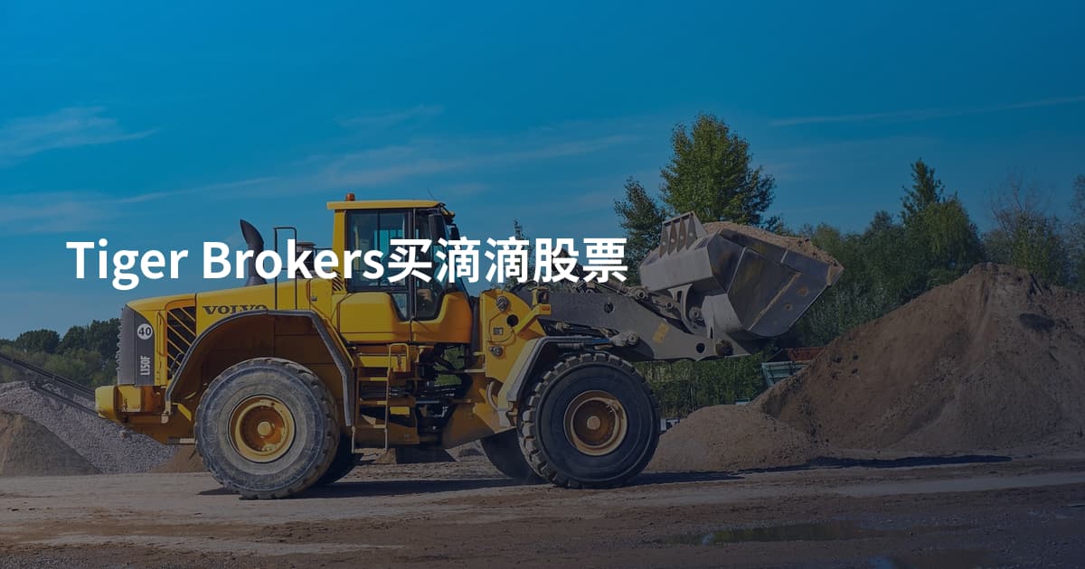 Tiger Brokers买滴滴股票