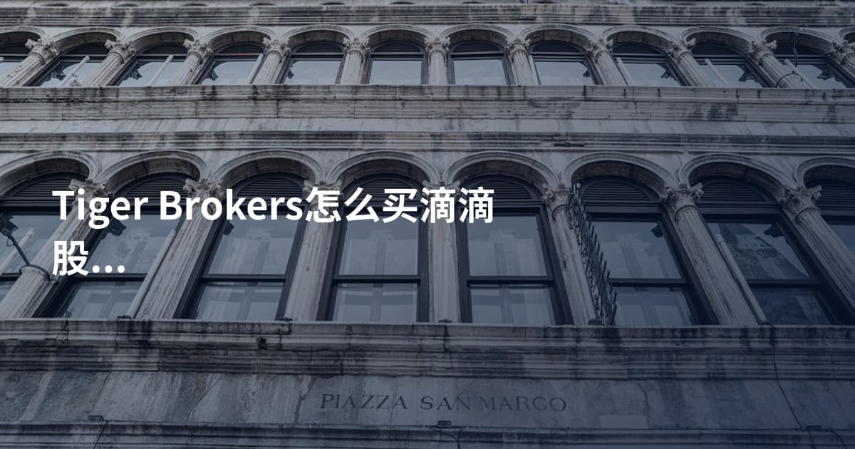 Tiger Brokers怎么买滴滴股票