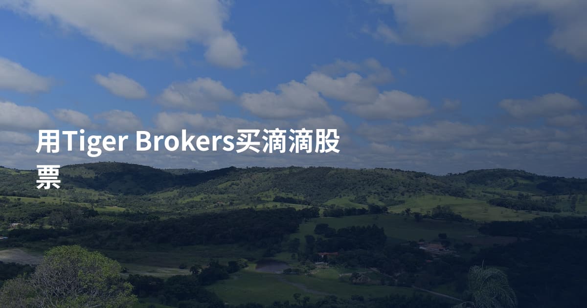 用Tiger Brokers买滴滴股票