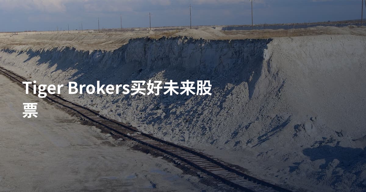 Tiger Brokers买好未来股票