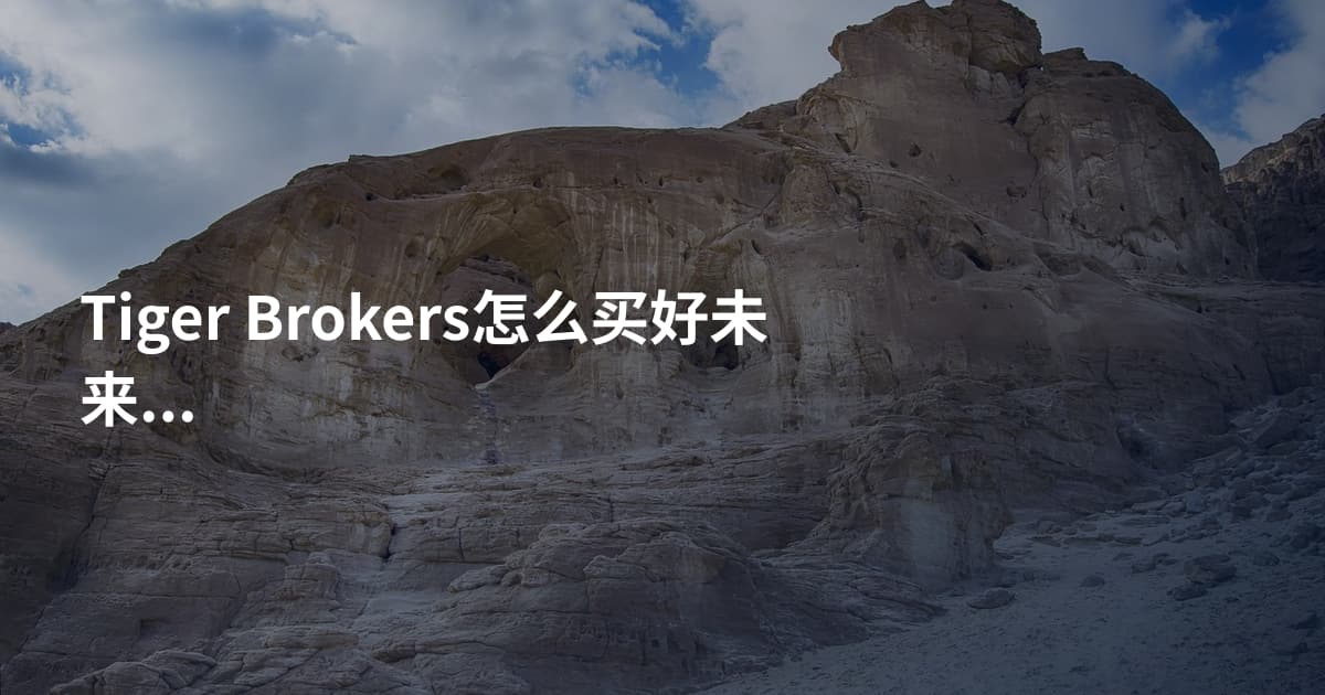 Tiger Brokers怎么买好未来股票